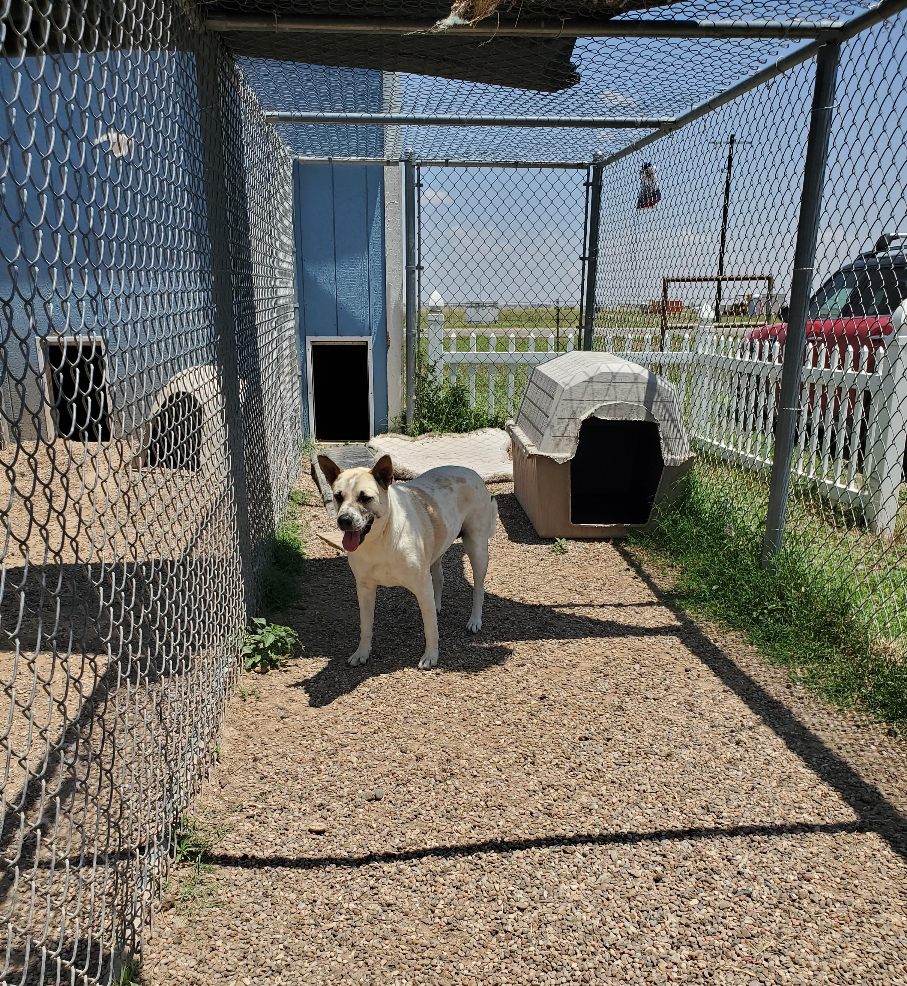 Rachel — thumbnail 4