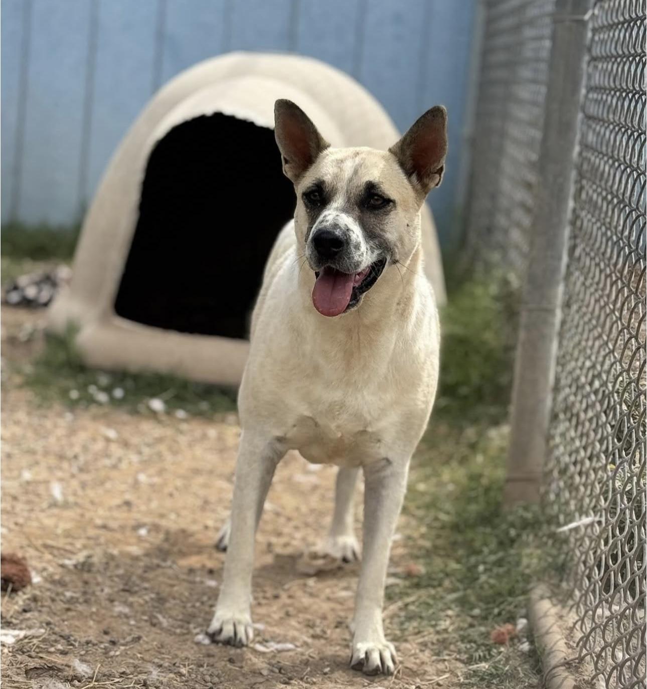 Rachel — thumbnail 5