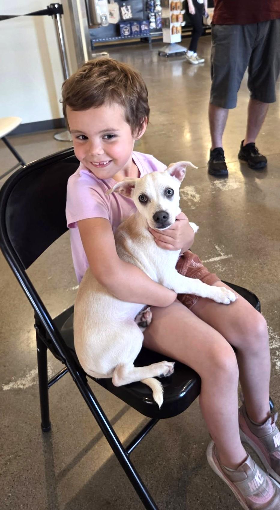 Enlarge Lucas, an adopted mixed breed in Oakdale, CA image 4/5