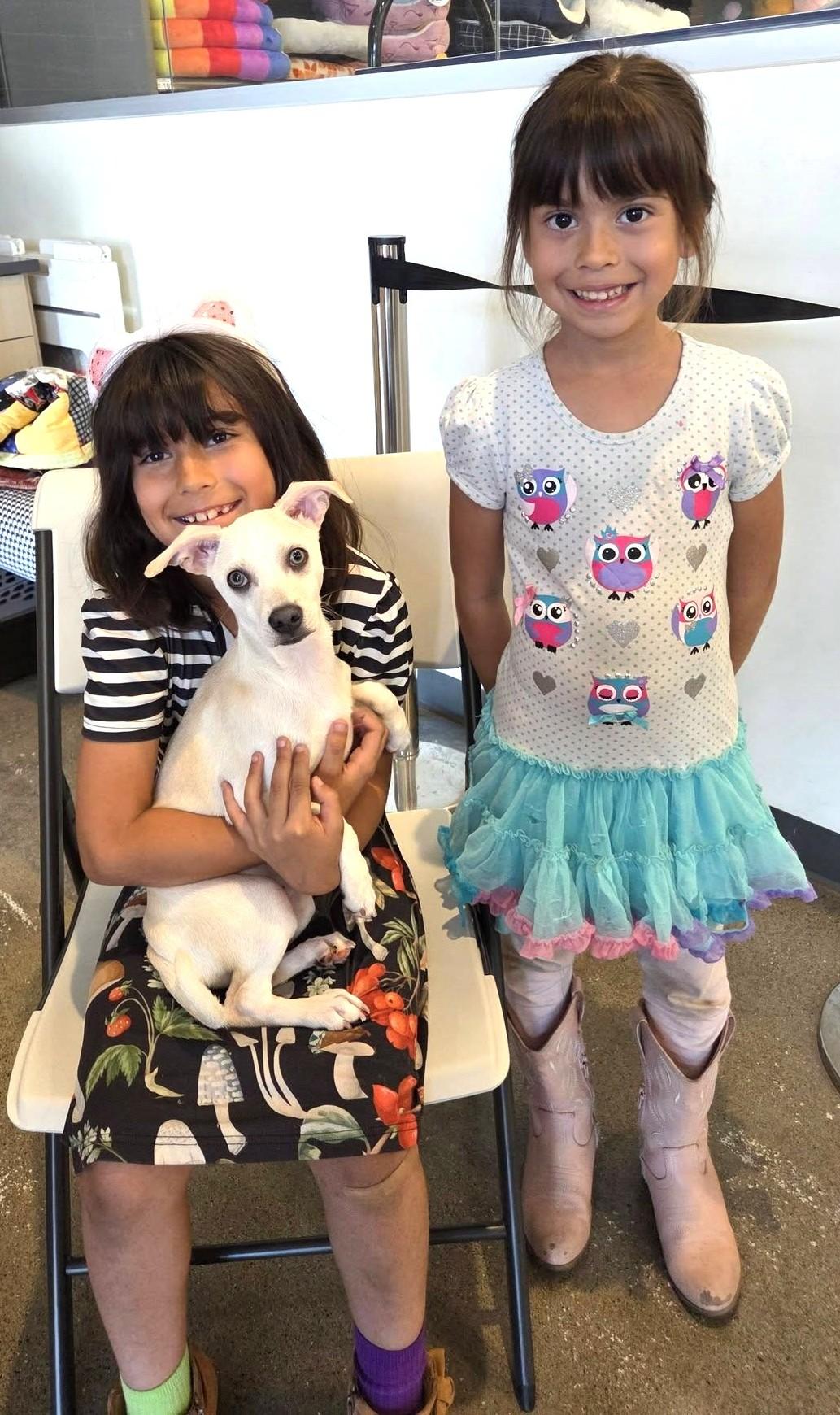 Enlarge Lucas, an adopted mixed breed in Oakdale, CA image 3/5