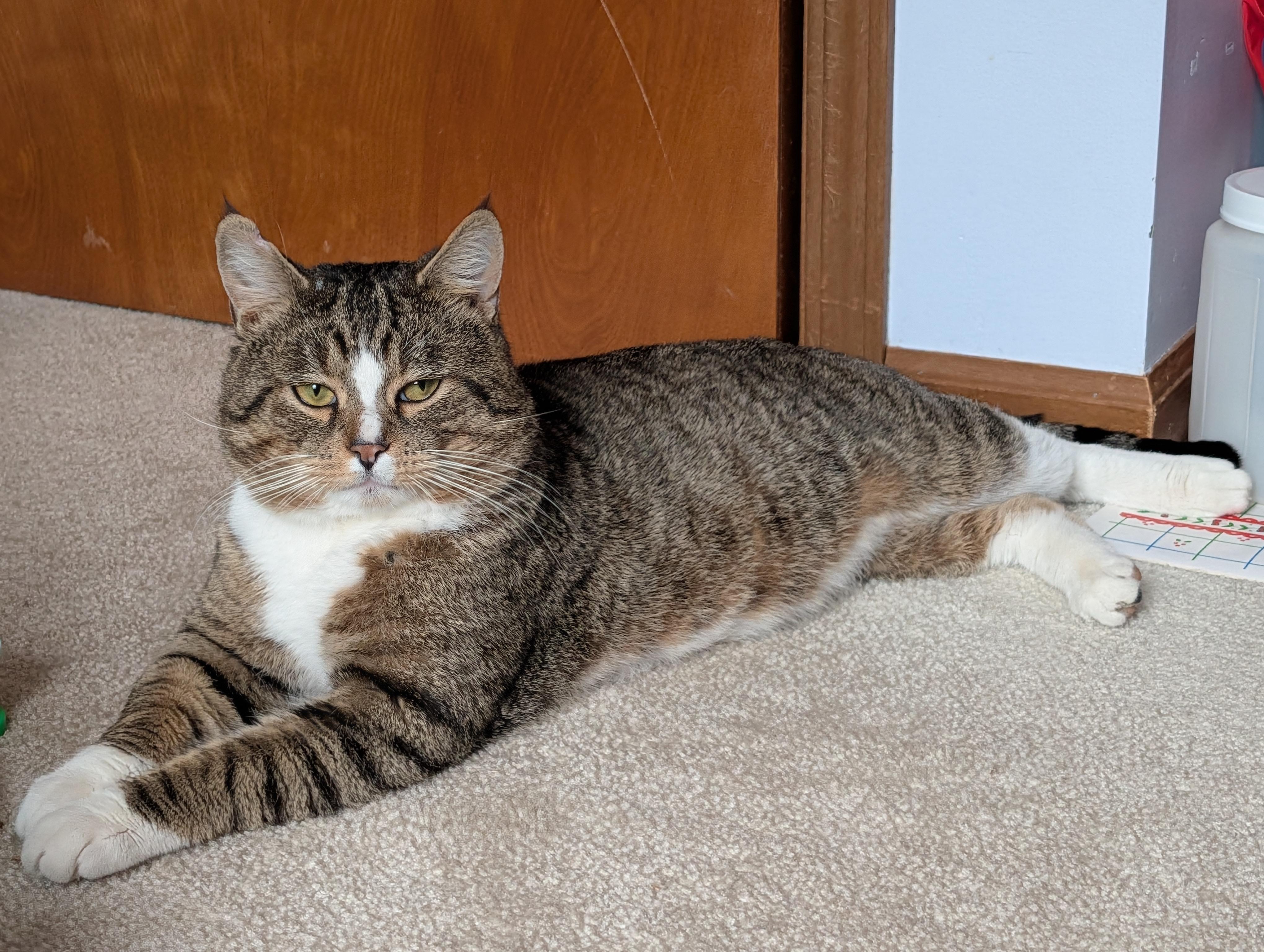 Franklin — thumbnail 2