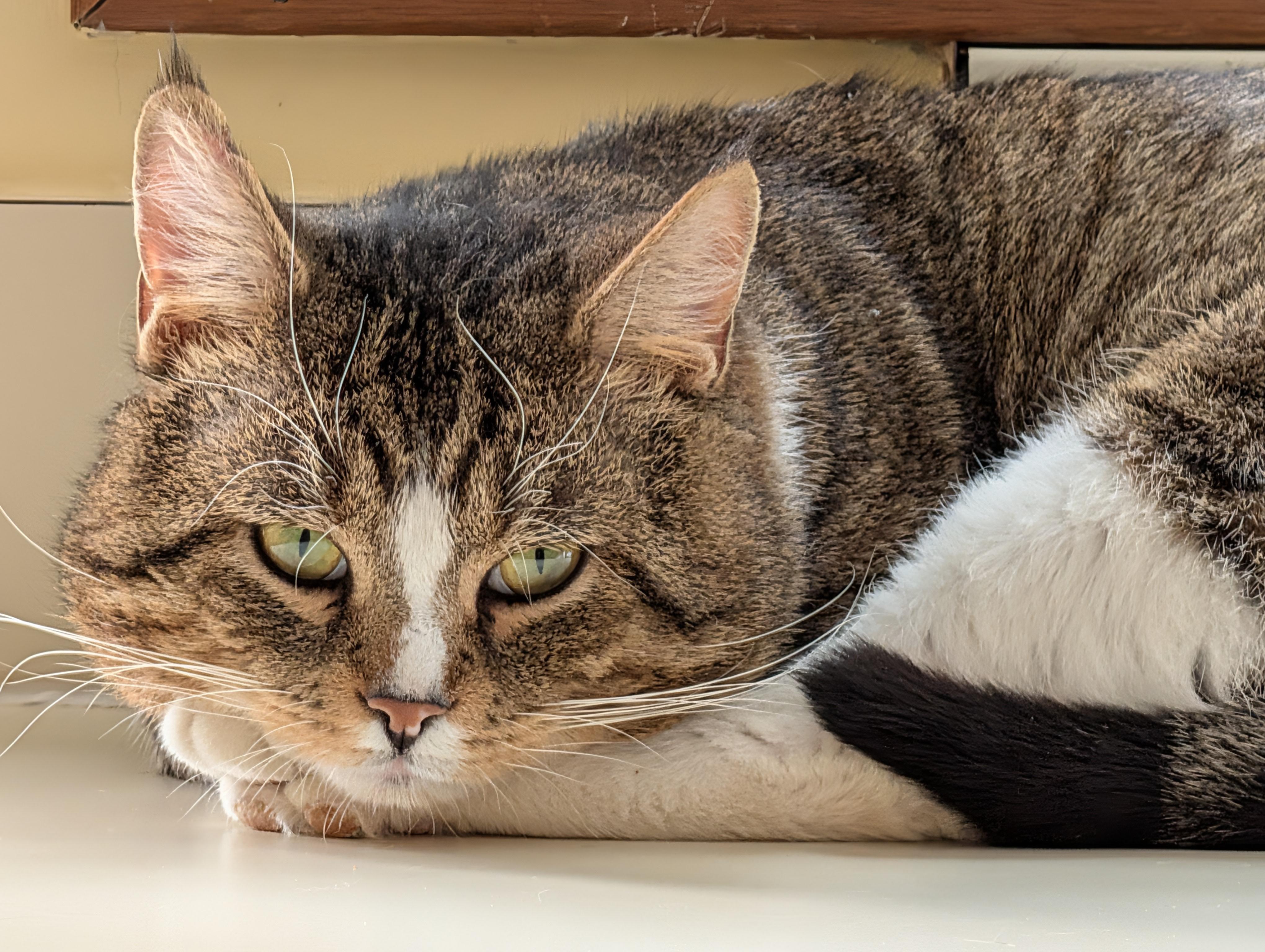 Franklin — thumbnail 3