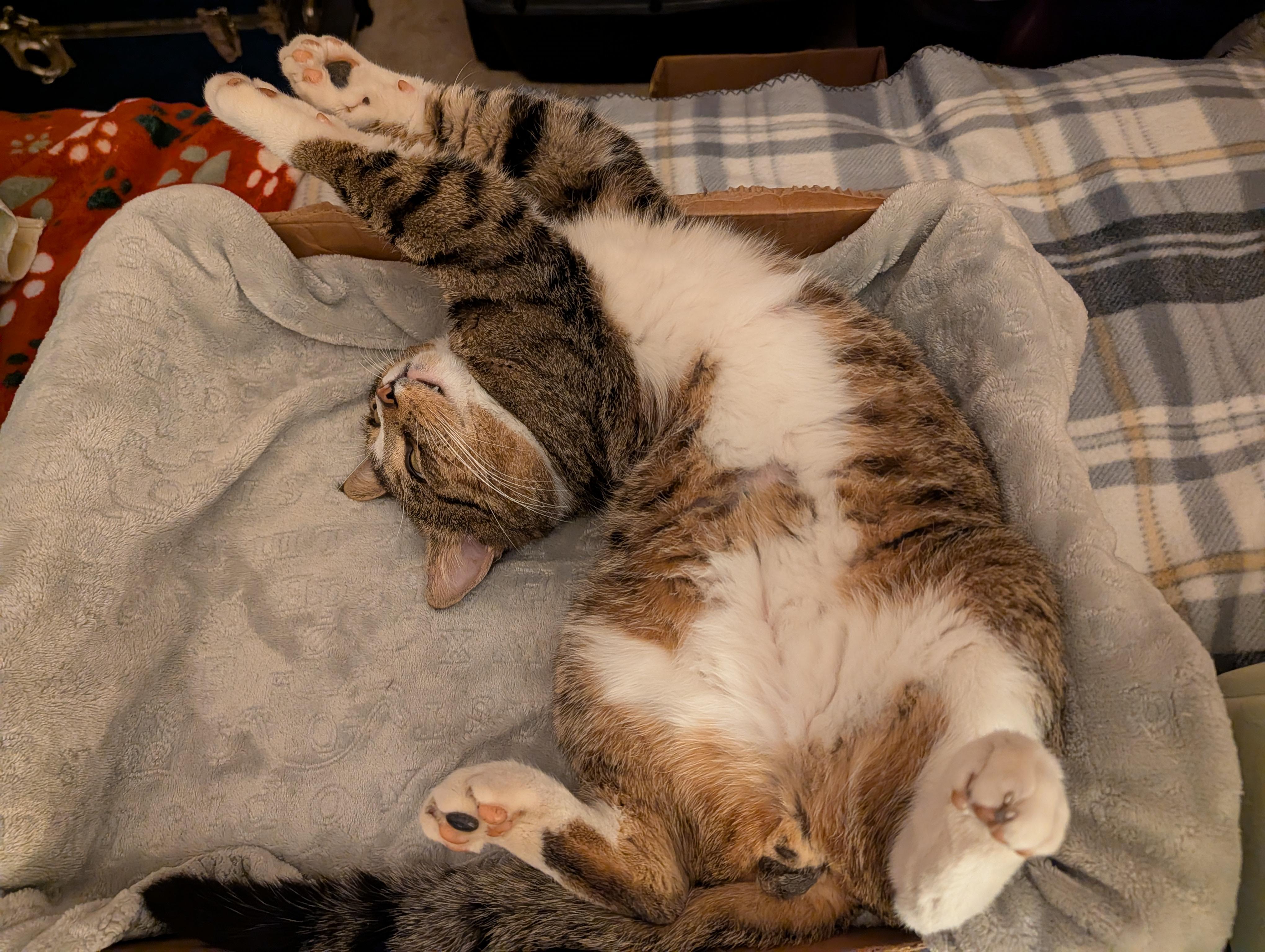 Franklin — thumbnail 5