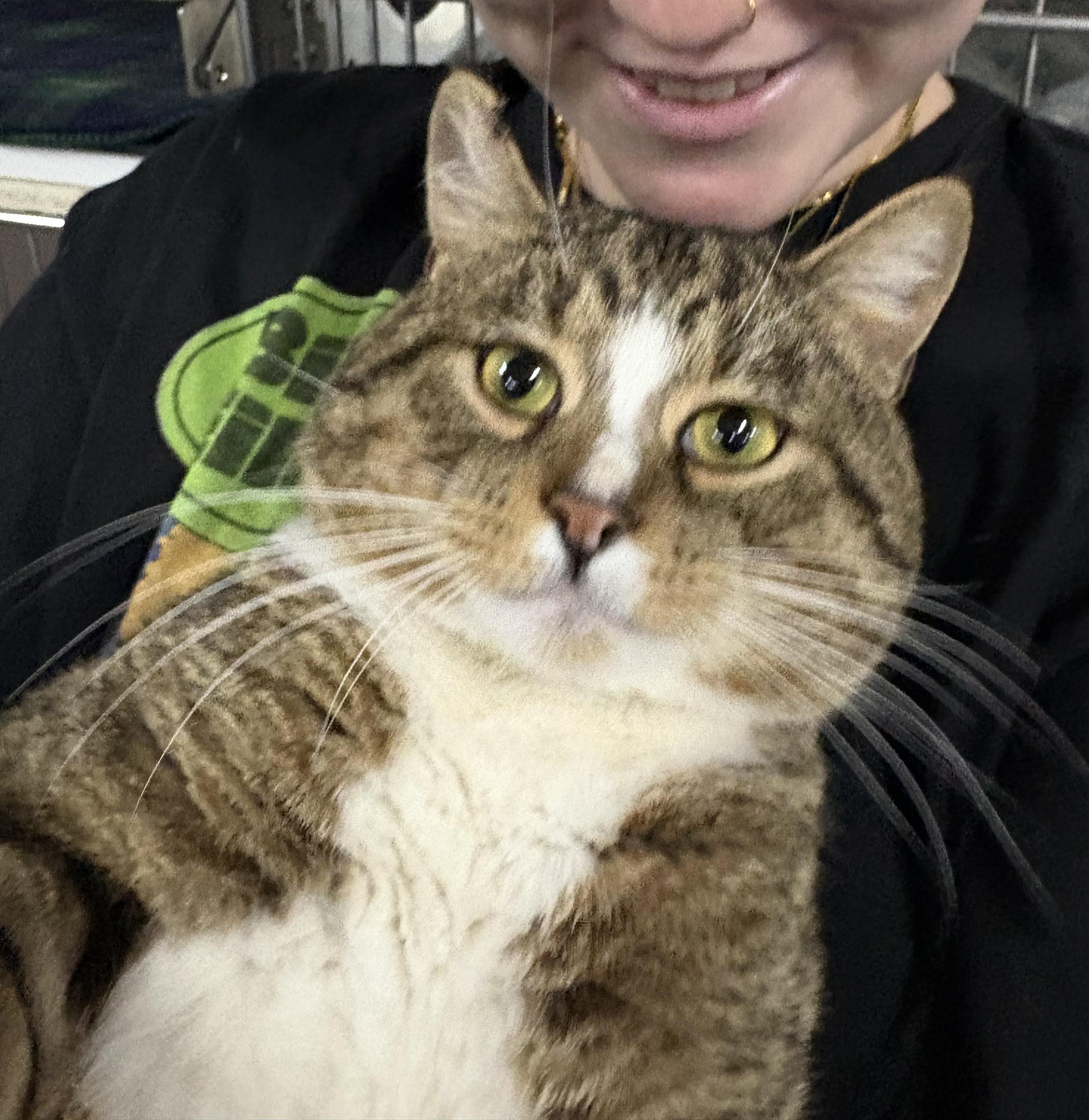 Franklin — thumbnail 6