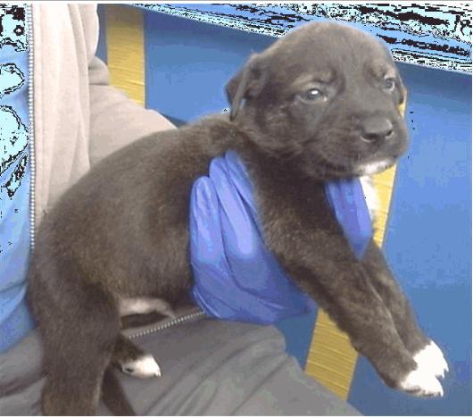 Stew — thumbnail 4