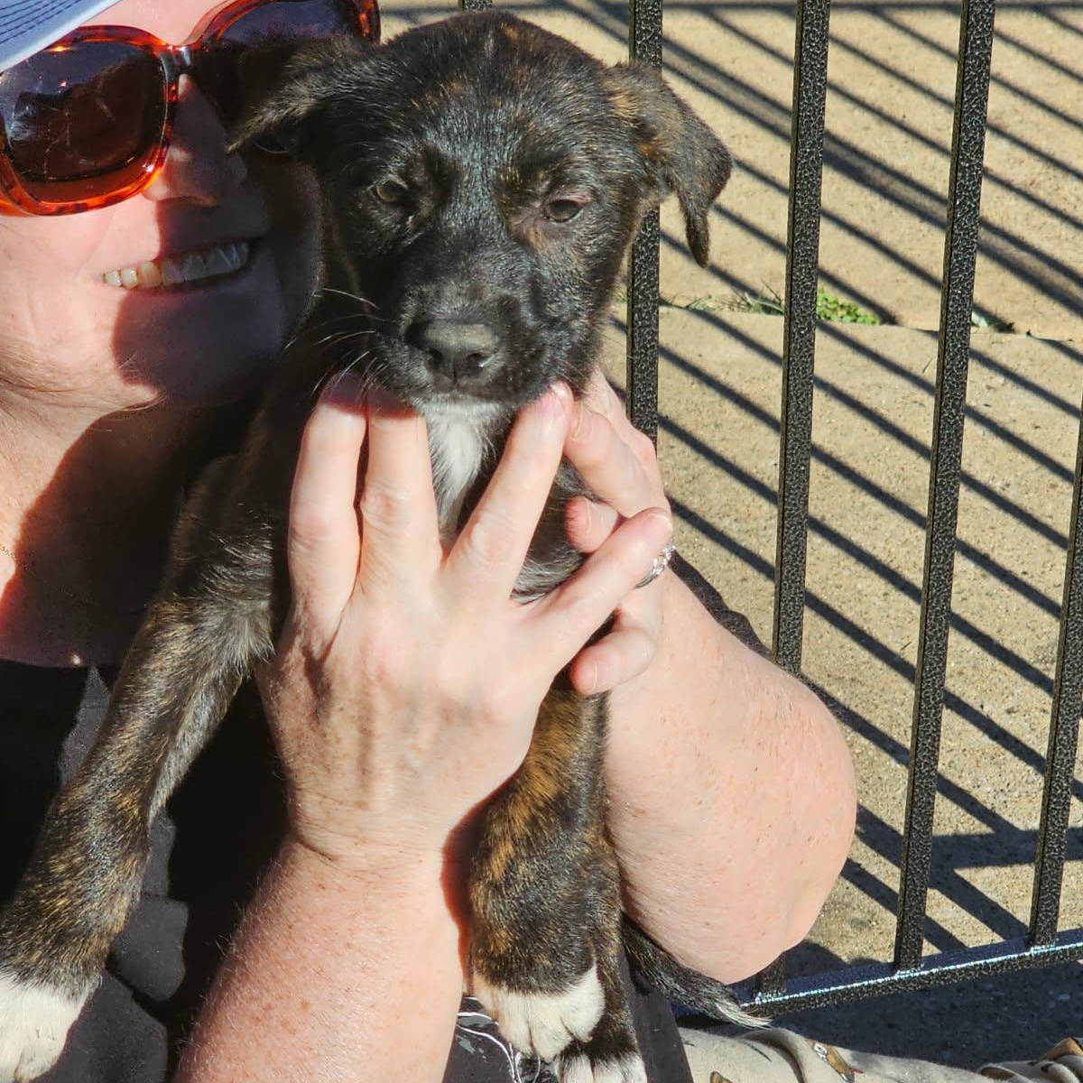 Stew — thumbnail 5