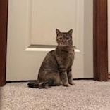 Holly — thumbnail 2