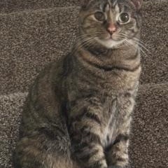 Holly — thumbnail 4