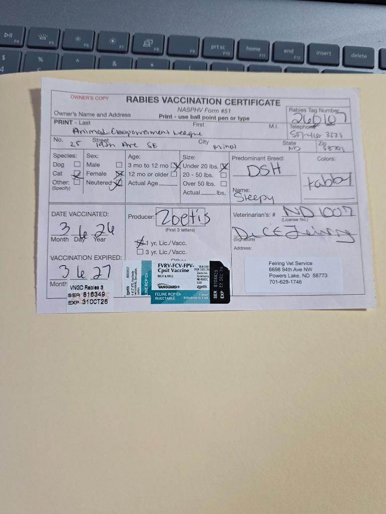 Enlarge Sleepy, a Adoptable mixed breed in Minot, ND image 1/2