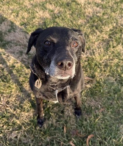 Moses — thumbnail 2