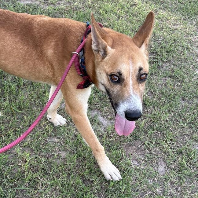 Flako — thumbnail 2