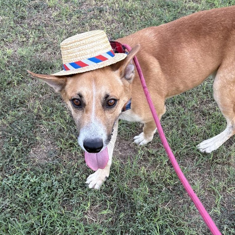 Flako — thumbnail 3