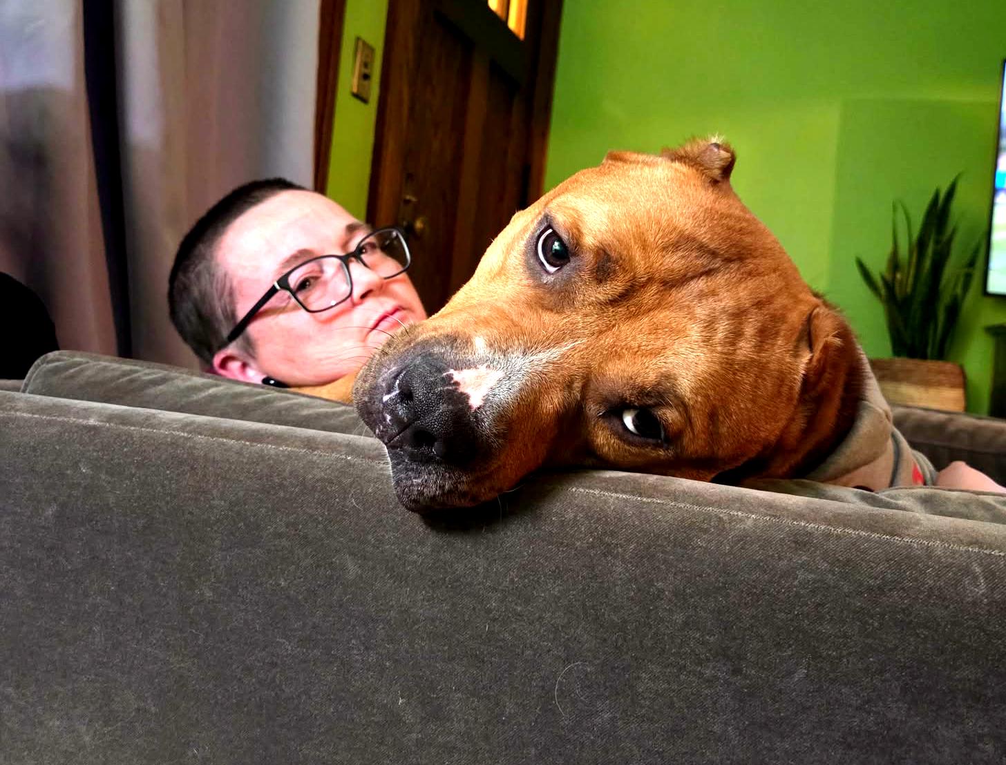 Teddy Aka Brutus thumbnail 2