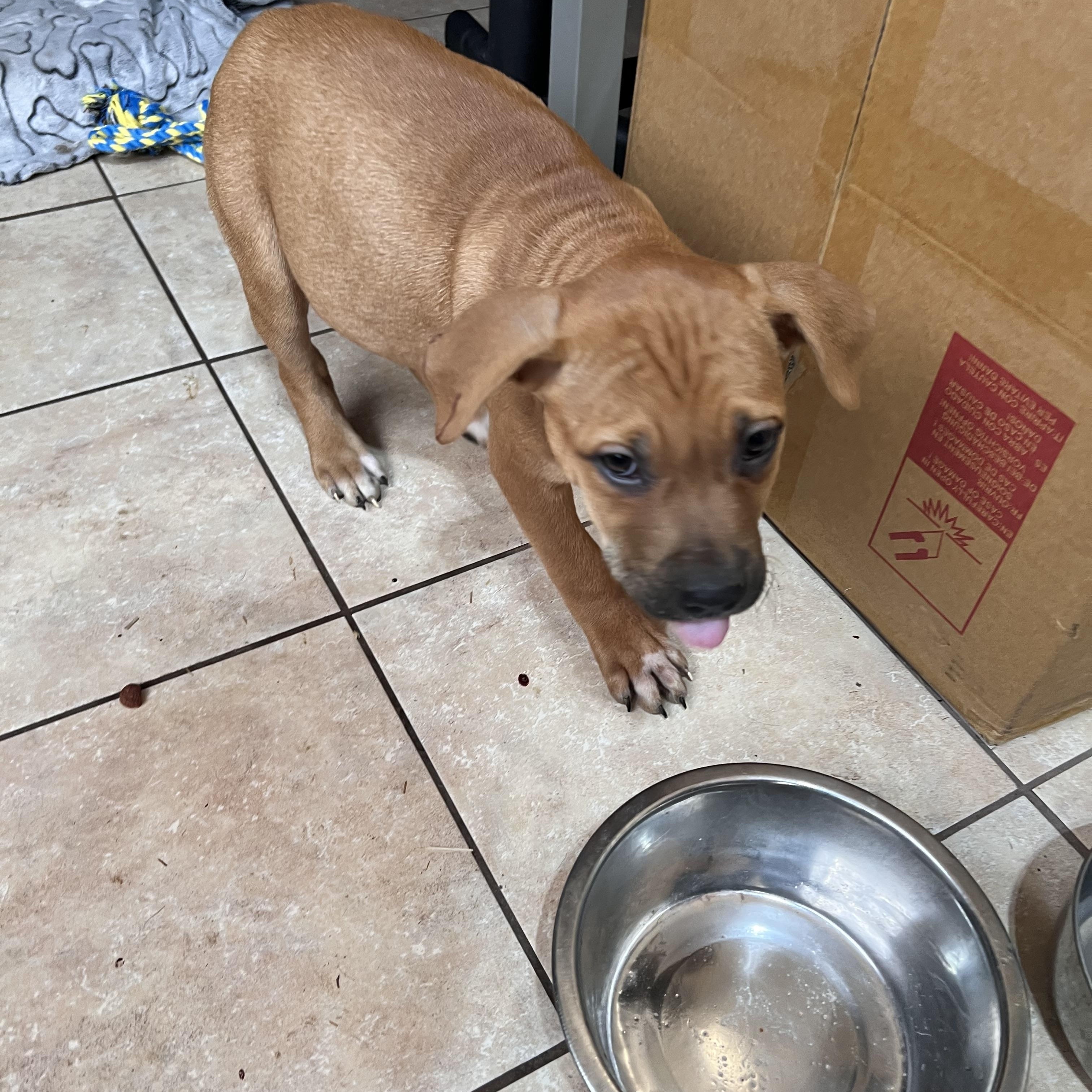 Jumbo Zoom — thumbnail 5