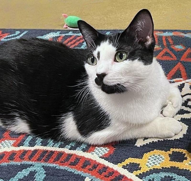 Twyliteoverflowing With Charm 