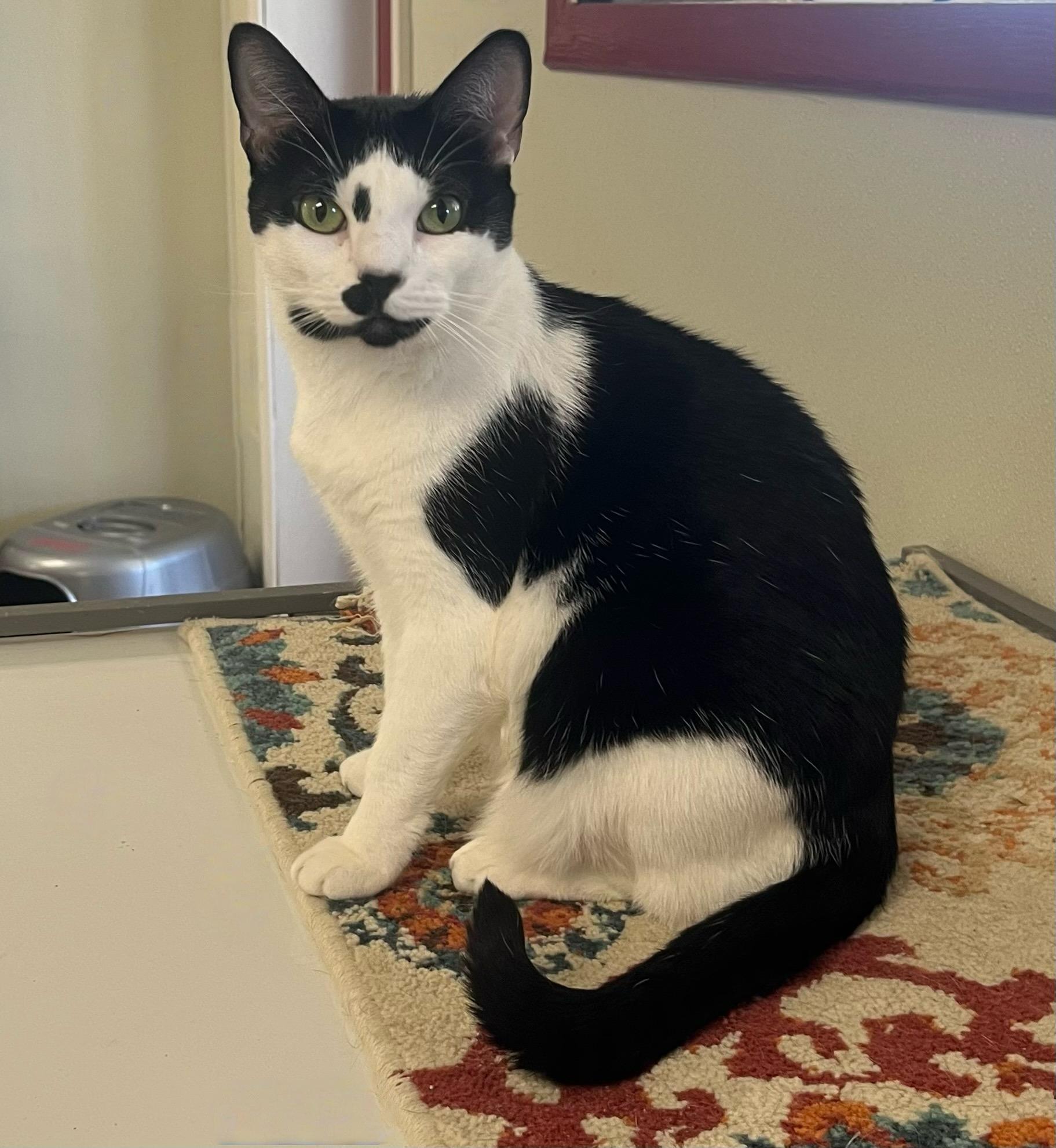 Twyliteoverflowing With Charm  thumbnail 5