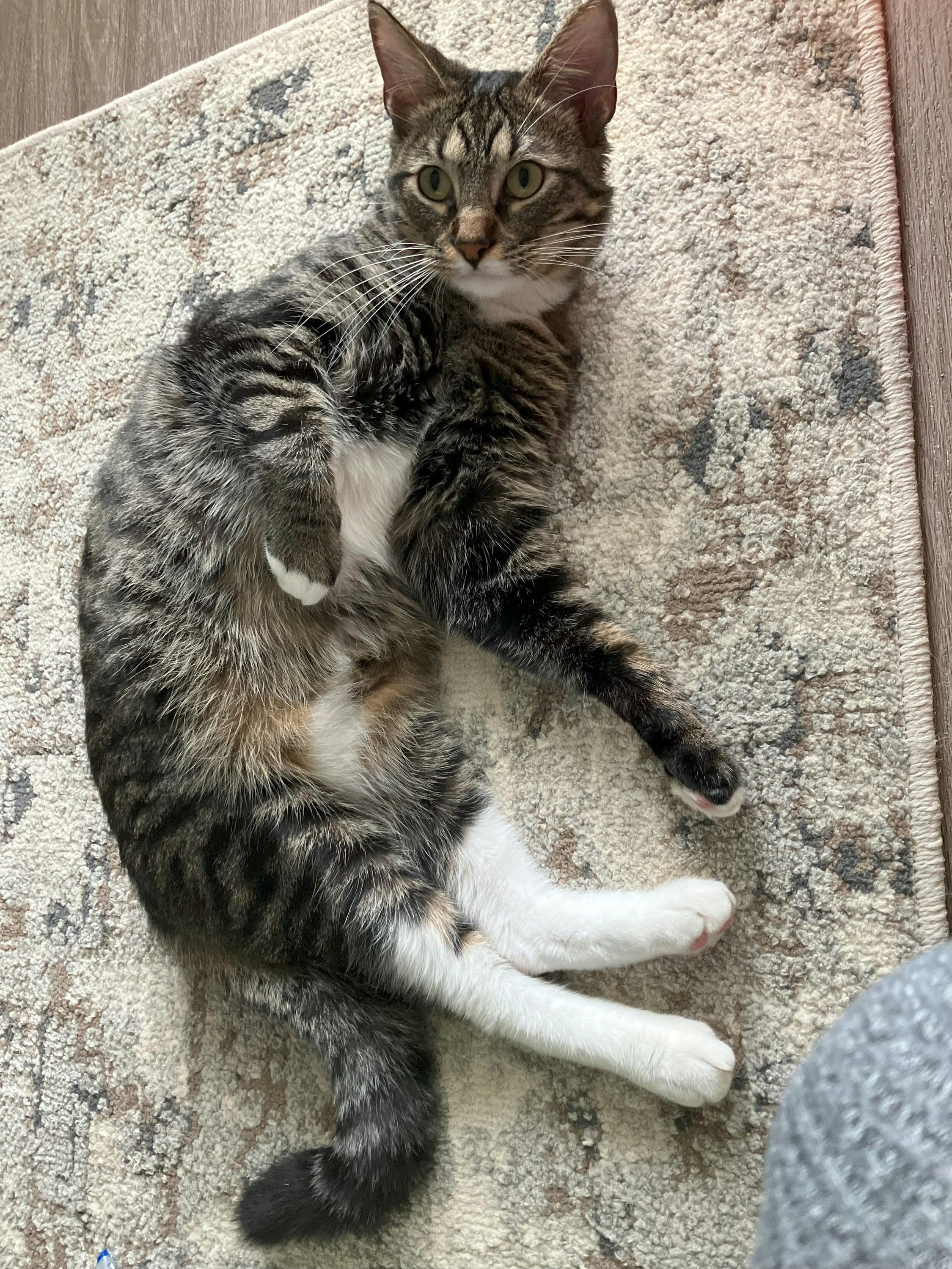 Benji