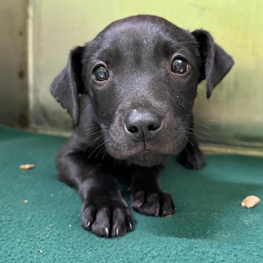 Float — thumbnail 3