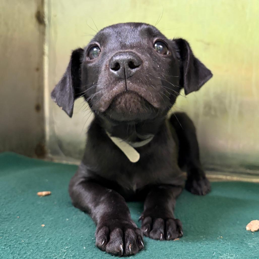 Float — thumbnail 4