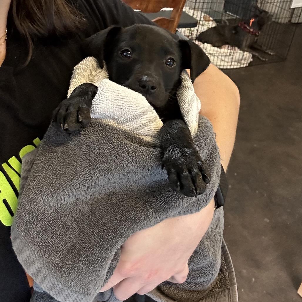 Float — thumbnail 5