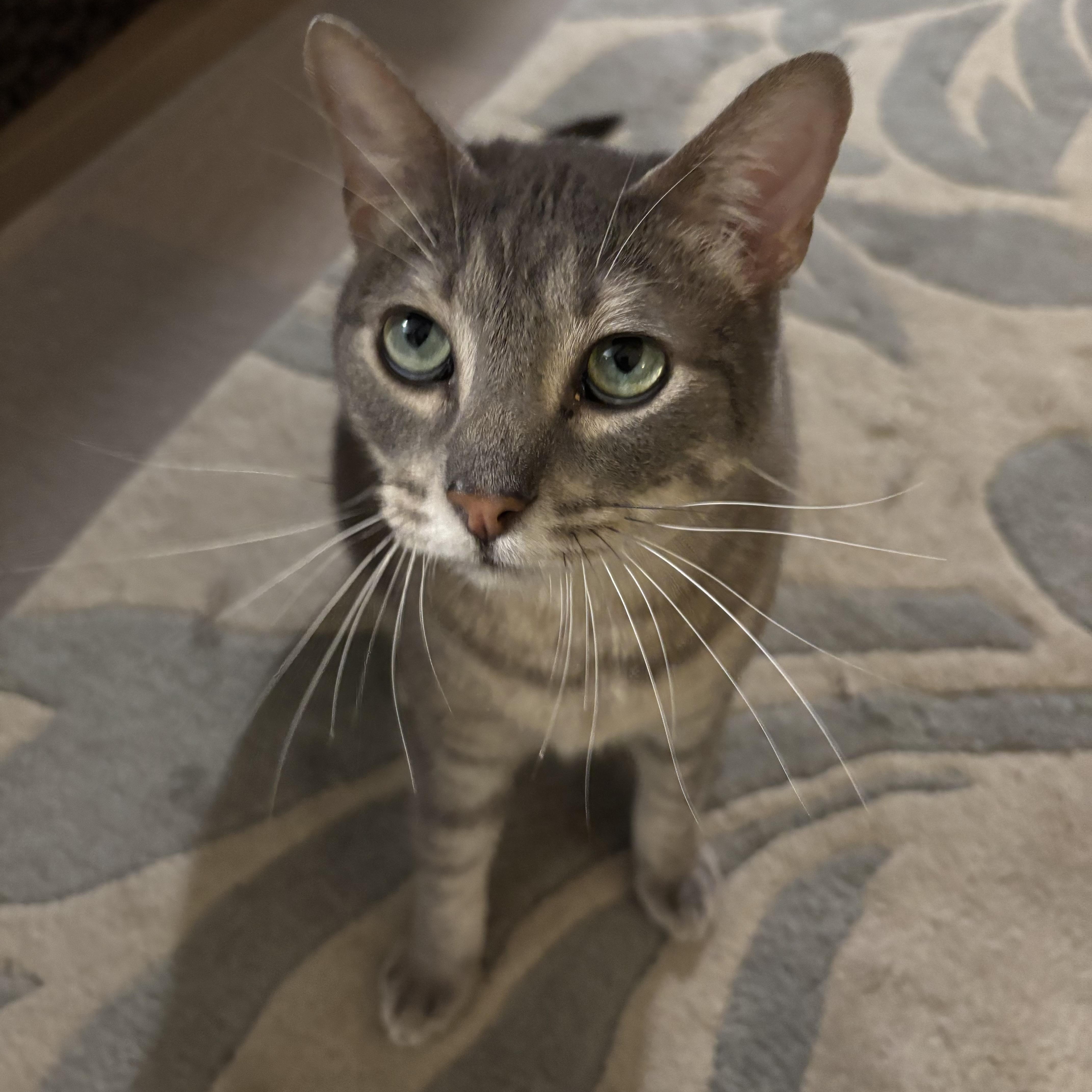 Evan - BIG BOI and friendly