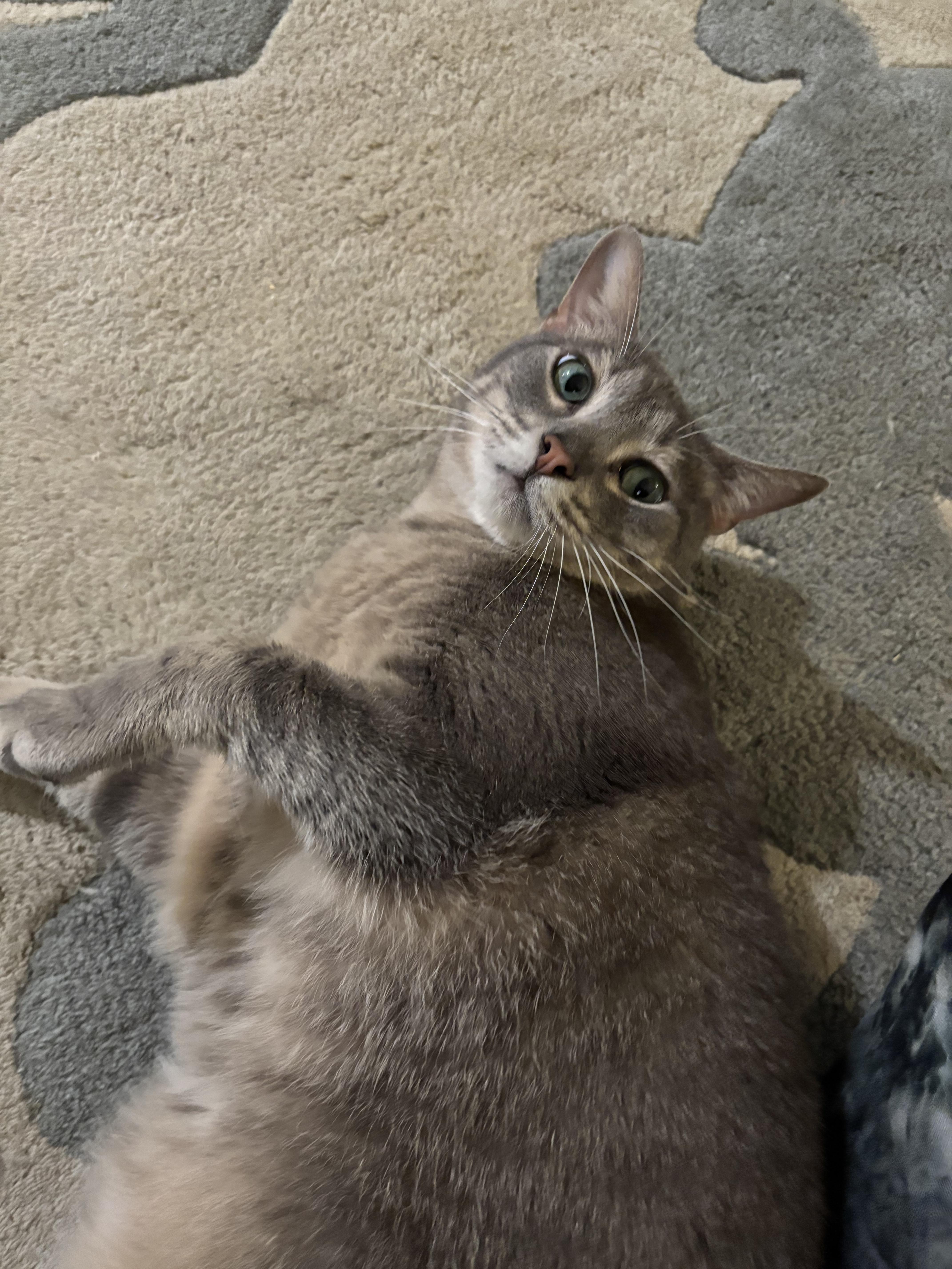 Evan - BIG BOI and friendly