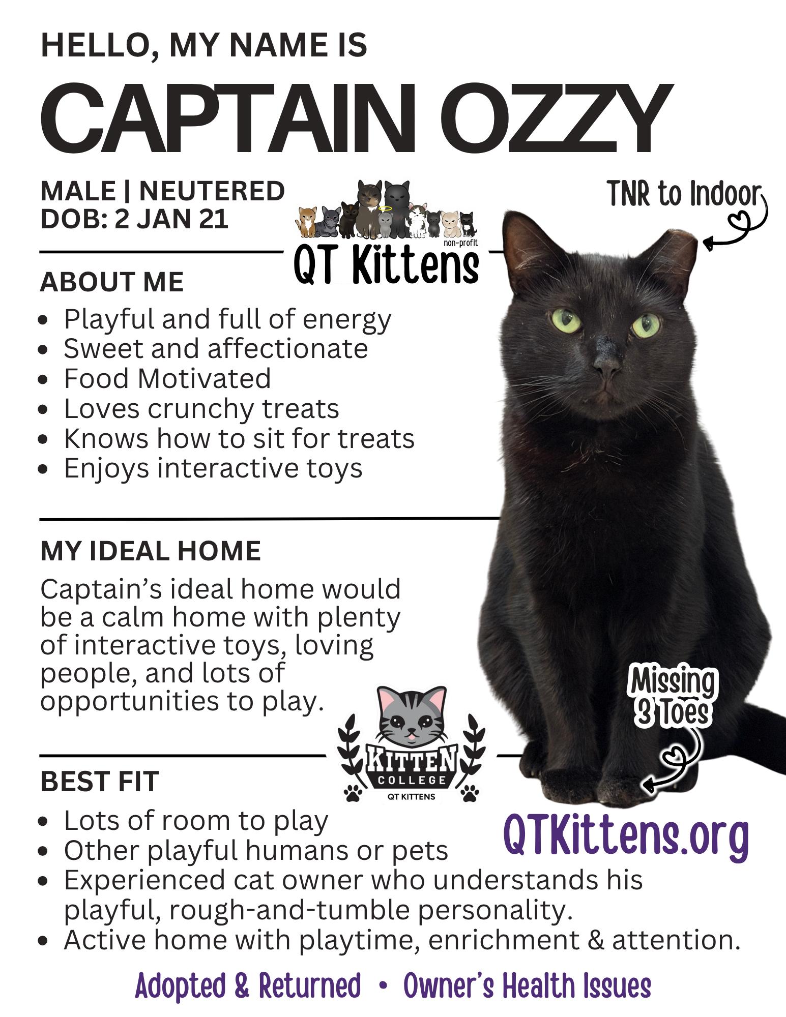 Enlarge Captain Ozzy, a Adoptable mixed breed in Naples, FL image 2/3