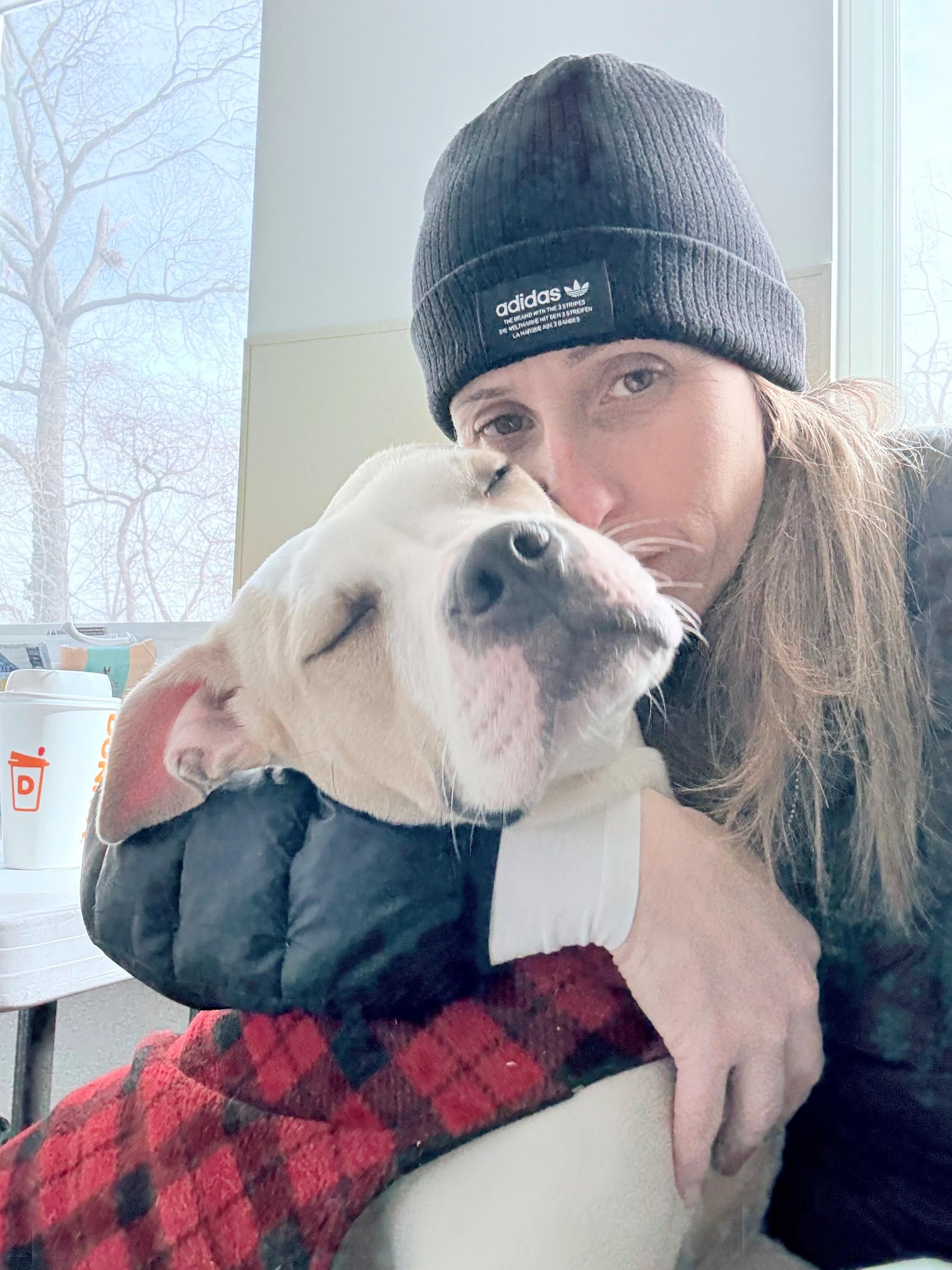 Enlarge Holly, an adopted mixed breed in New Rochelle, NY image 5/6