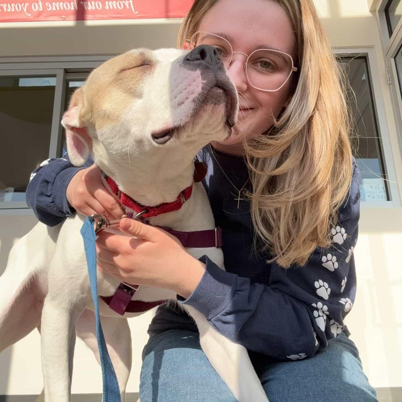 Enlarge Holly, an adopted mixed breed in New Rochelle, NY image 3/6