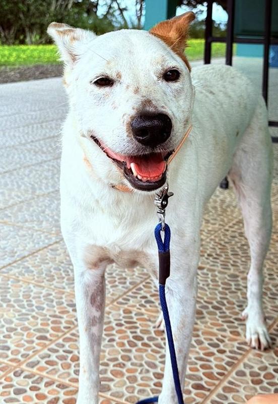 Lucy