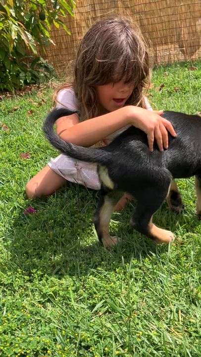 Enlarge Ruby and Hera, an adopted mixed breed in Santa Maria, CA video 2/6