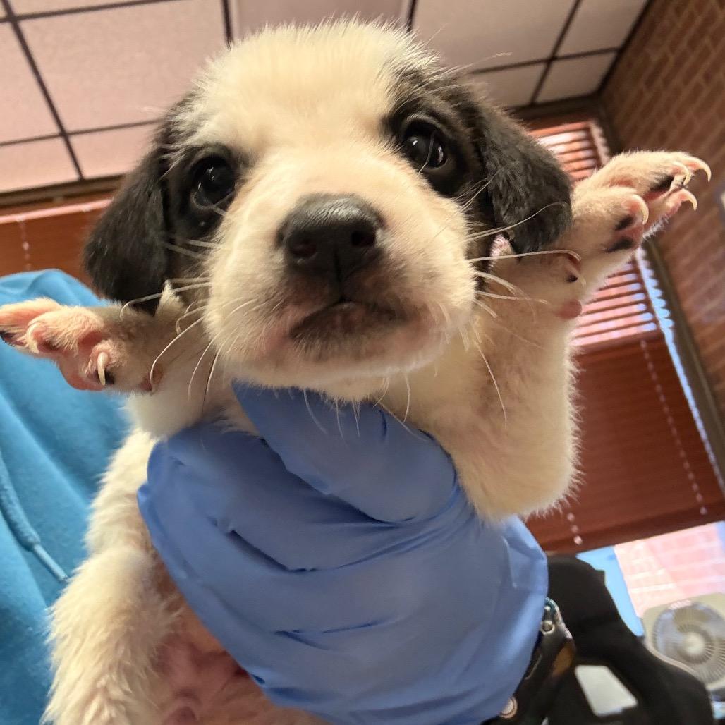 Anna — thumbnail 2