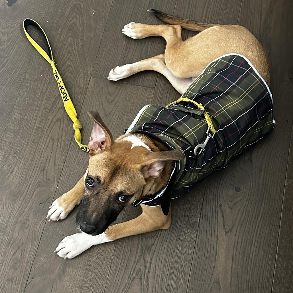 Cornbread thumbnail 2