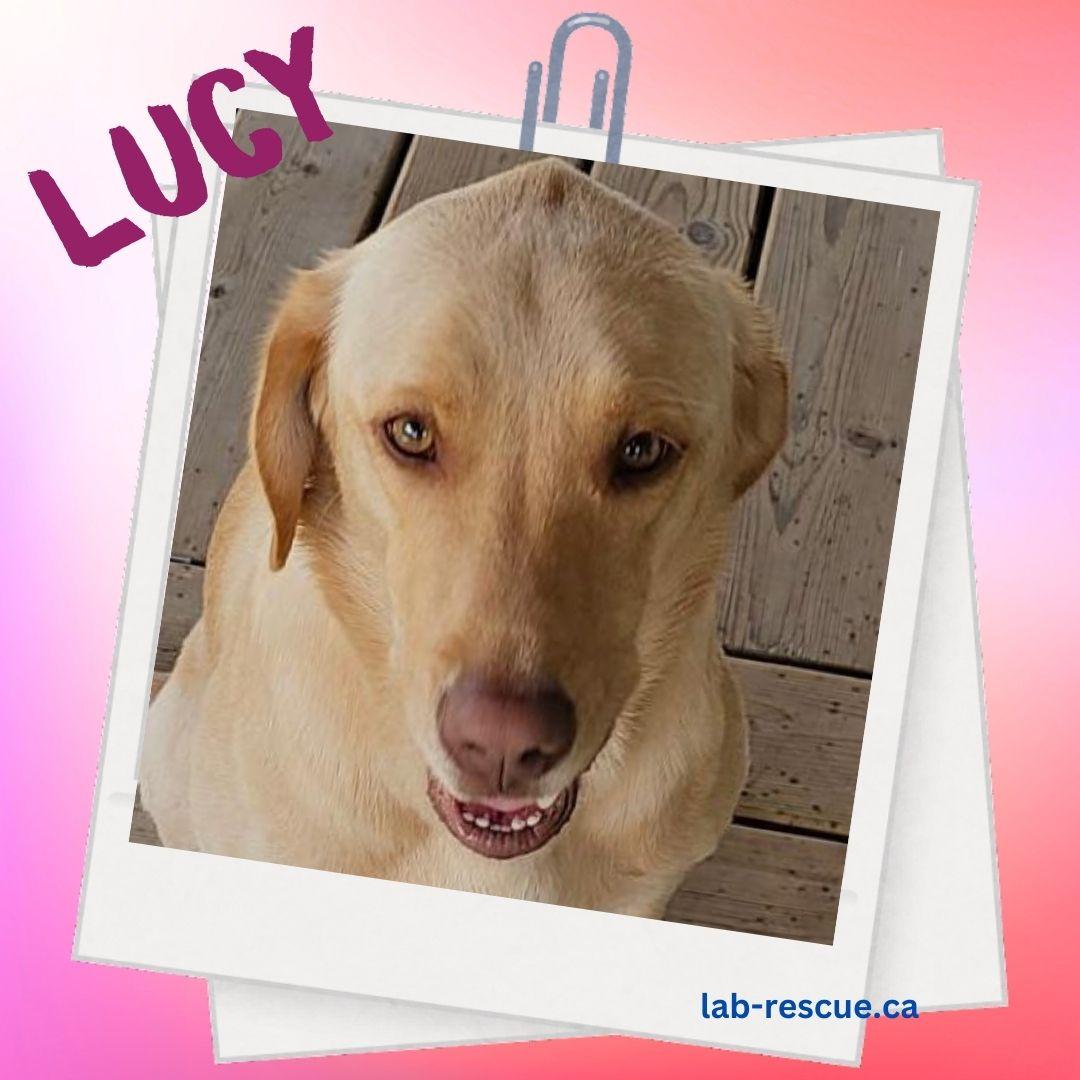 Lucy