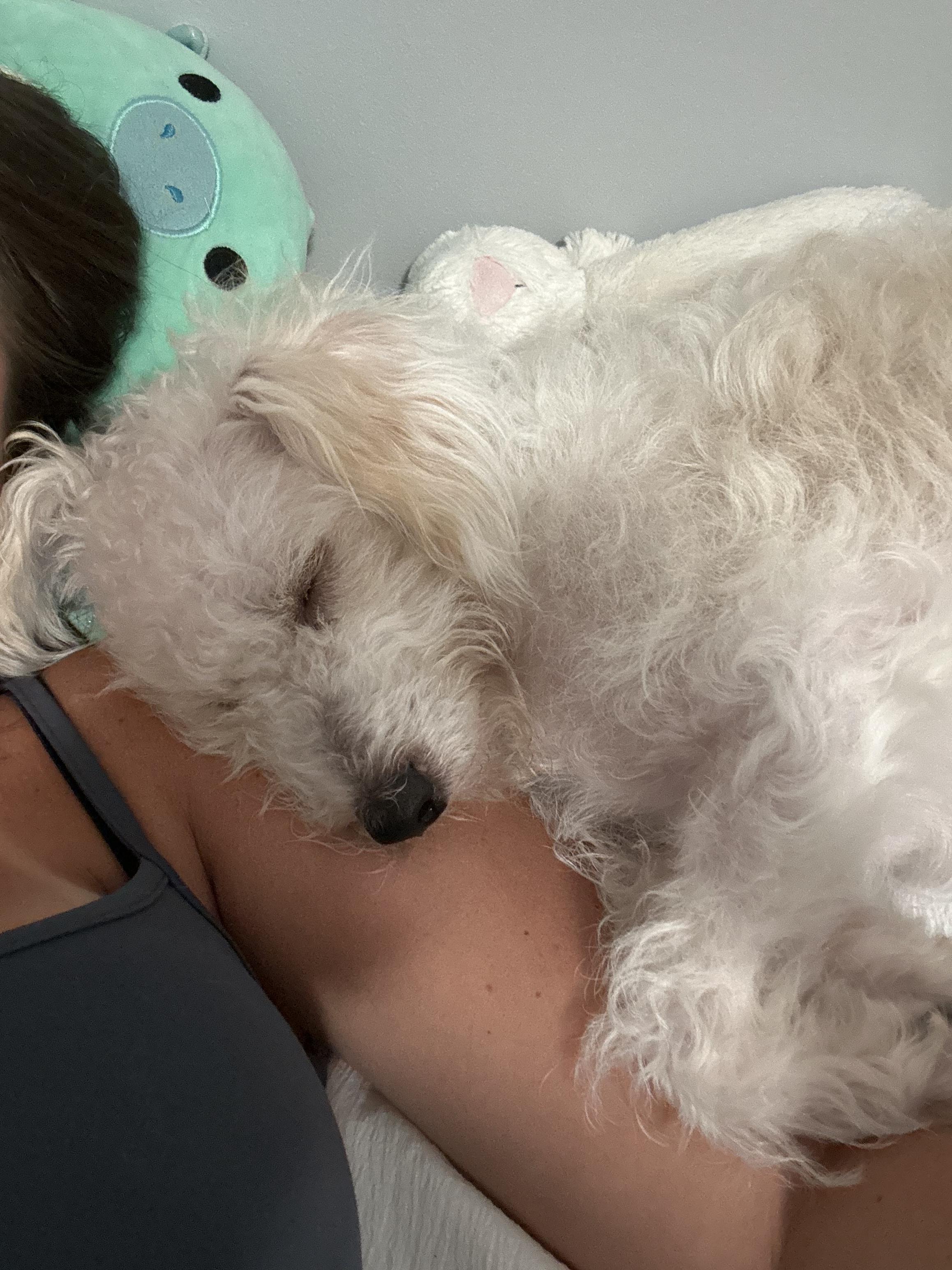 Winston photo 2