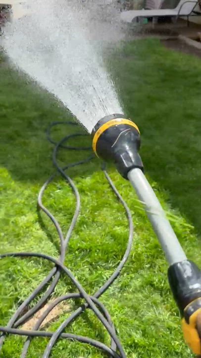 Enlarge Wally, a ADOPTABLE mixed breed in Silvana, WA video 3/3