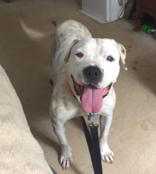 Willamena — thumbnail 2