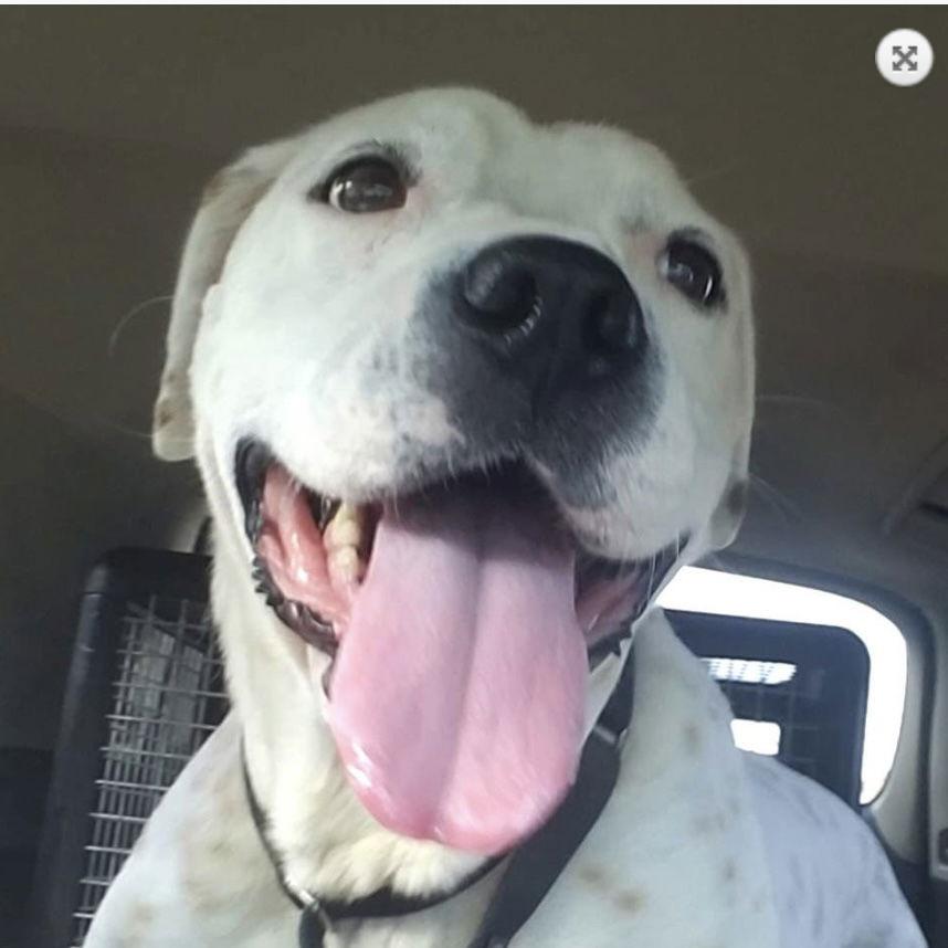 Willamena — thumbnail 3