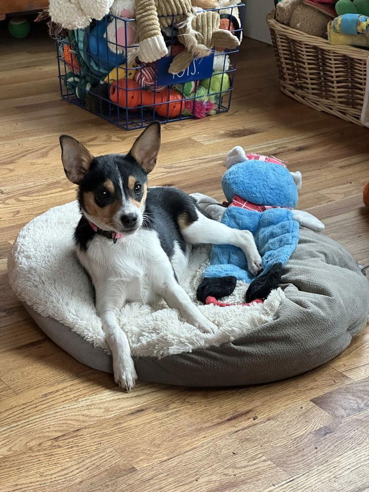 Jilly Bean ~ — thumbnail 2