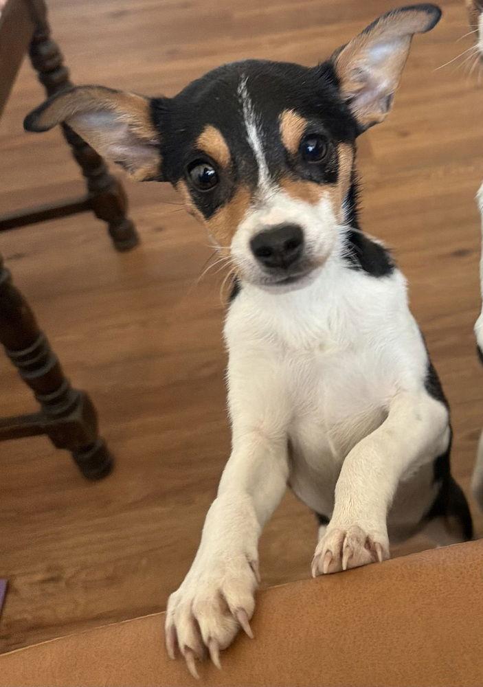 Jilly Bean ~ — thumbnail 3