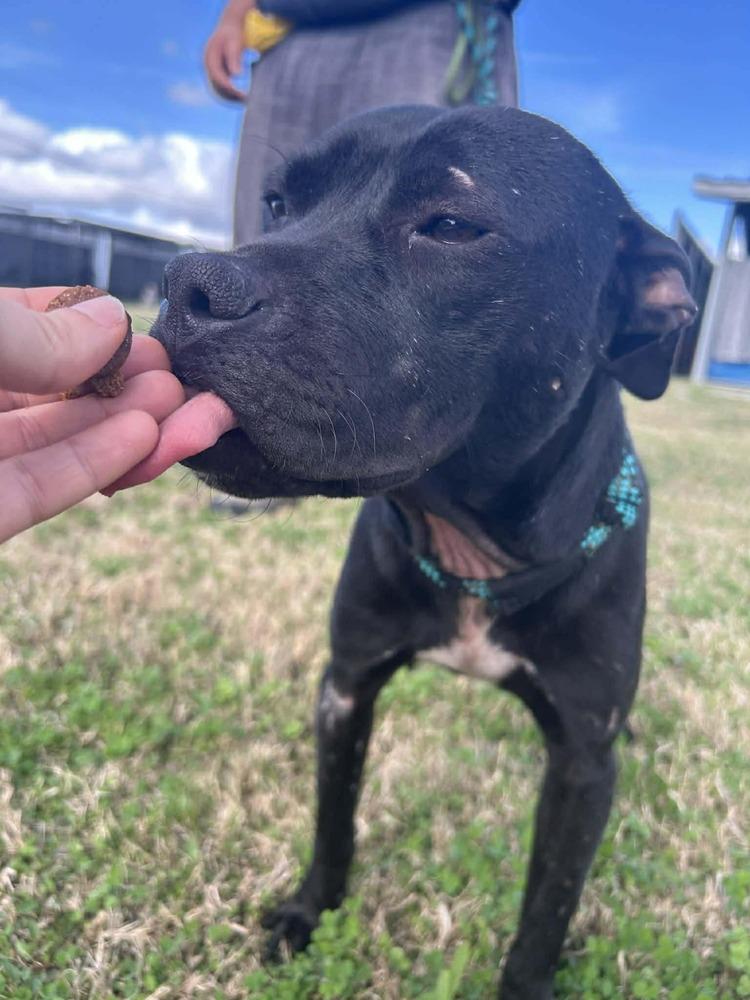 Rosalyn — thumbnail 2