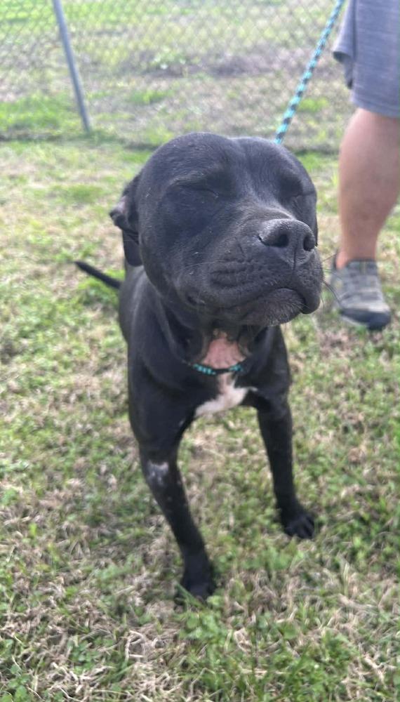 Rosalyn — thumbnail 3