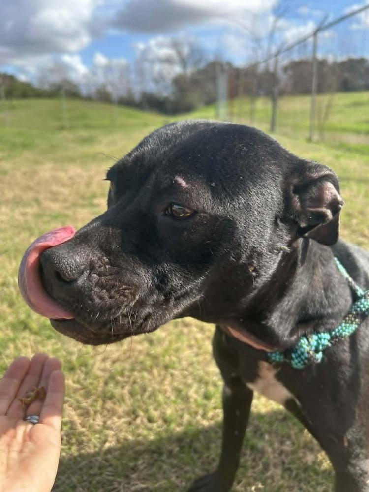 Rosalyn — thumbnail 5