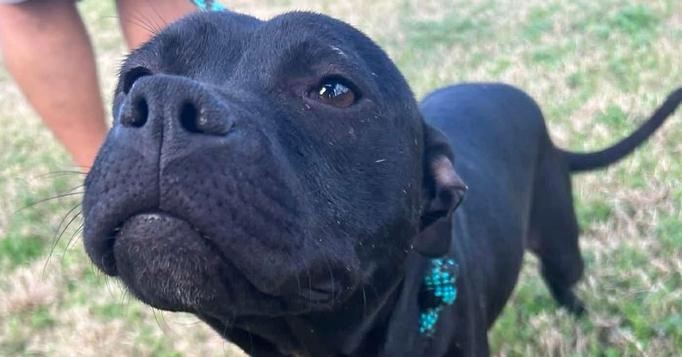 Rosalyn — thumbnail 6