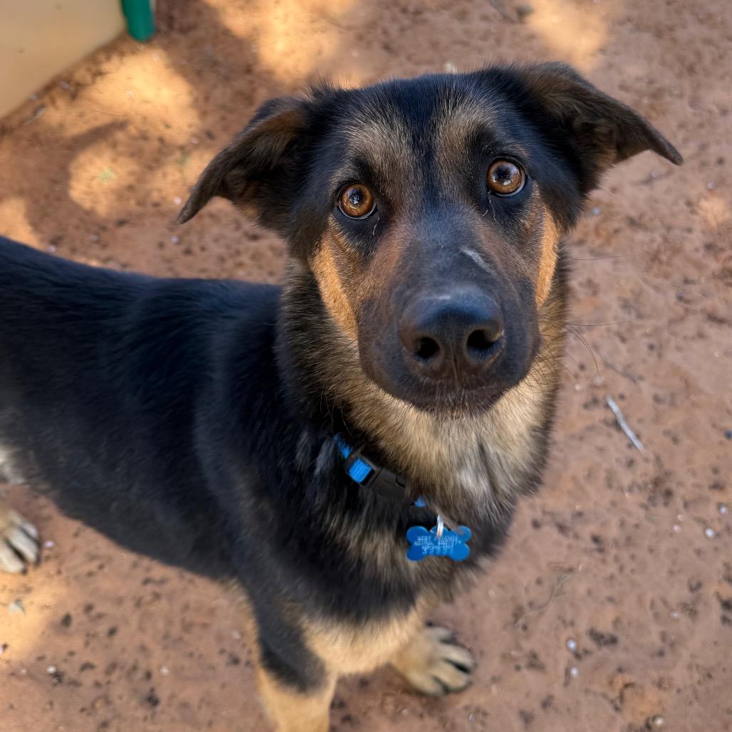 Agatha — thumbnail 2