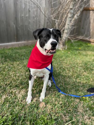 Sienna — thumbnail 2