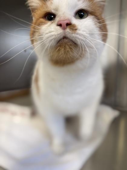 Sergio Cobo thumbnail 2