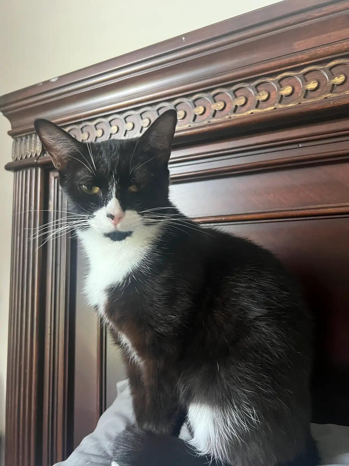 Sylvie