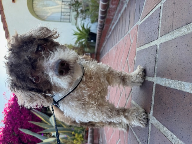 Milky Way thumbnail 5