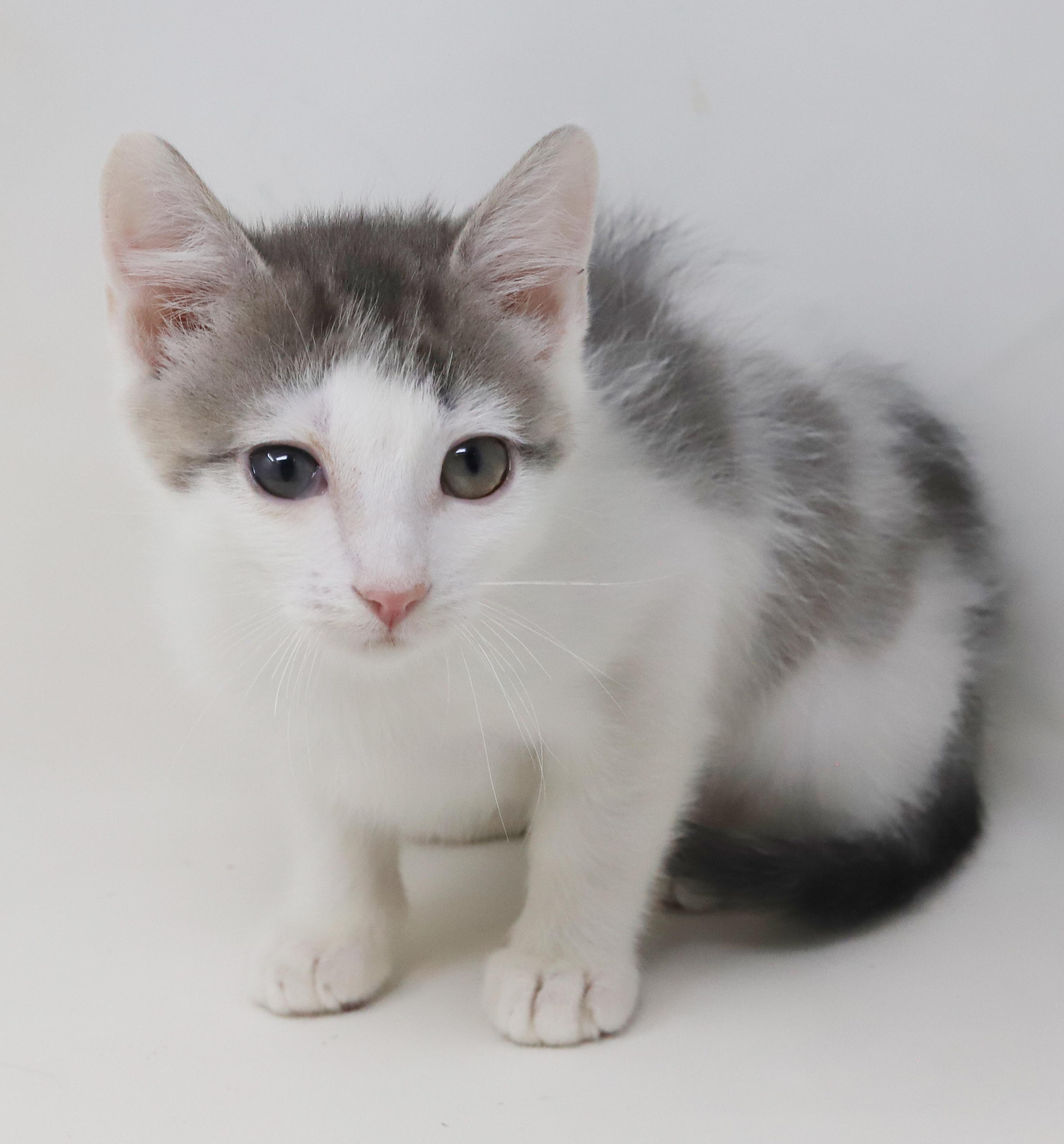 Derby is ready to race into your heart!